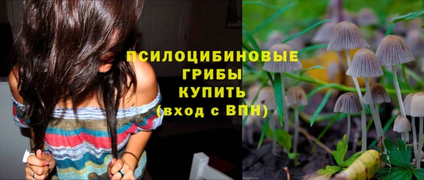 бошки Россошь