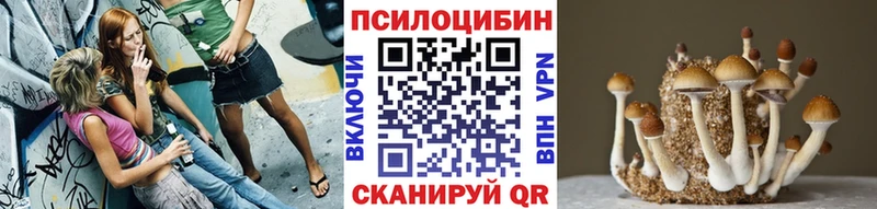 Псилоцибиновые грибы Psilocybine cubensis  Купить  Омск 